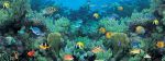 Deep Sea Coral 135x360cm