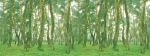 Forest Pine 135x180cm