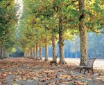 Park 135x180