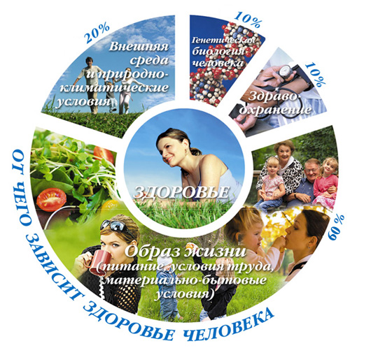 C:\Documents and Settings\ASU\Рабочий стол\faktory-zdorovja2.jpg