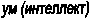 �� (���������)