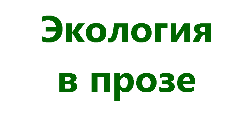 �������: