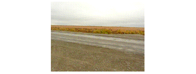 �������: