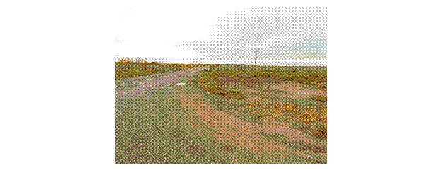 �������: