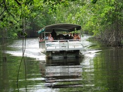Сафари Black River и водопады Y/S (10 часов)