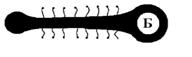 C:\Users\�\Pictures\����������5.jpg