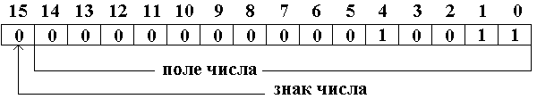 19 = 011