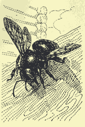 http://*****/glava02_4/gif41.gif