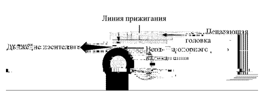 �������: 