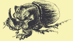 http://*****/glava02_5/gif67.gif