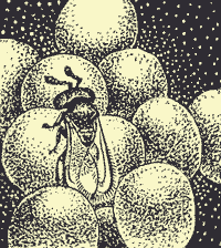 http://*****/glava03_1/309.gif