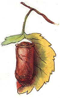 http://*****/glava03_2/323a.jpg