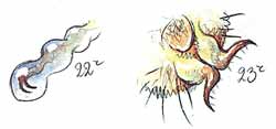 http://*****/glava03_2/327c.jpg