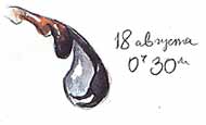 http://*****/glava03_2/327d.jpg