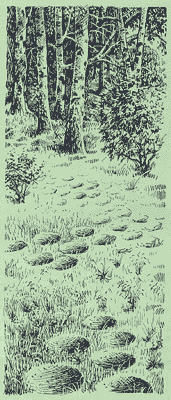 http://*****/glava03_2/331.gif