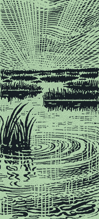 http://*****/glava03_3/340.gif