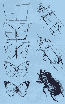 http://*****/glava03_4/3x25.gif