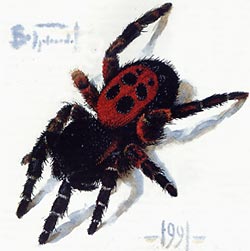 http://*****/glava04/4x10.jpg