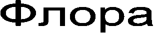 ����� 