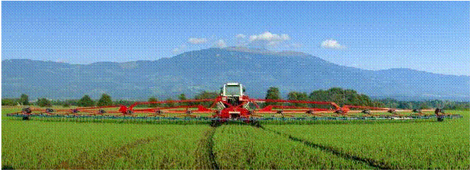 �������: 