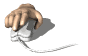 http://*****/images/35.gif