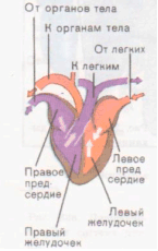 Описание: http://*****/articles/537192/img4.gif