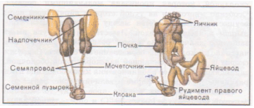 Описание: http://*****/articles/537192/img5.gif