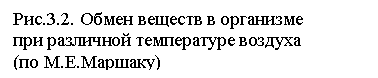 �������: