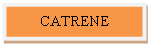 �������: CATRENE