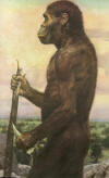 africanus2_small