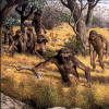 robustus2_small