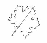 C:\Users\user\Pictures\����.jpg