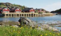rorbusuiter-i-kabelvaag.jpg