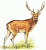 http://t3.gstatic.com/images?q=tbn:ANd9GcT-EJEsaQDapp6dWm74_MAf90VW_1U_PjPaNQDjUrbl2o5lCfV9TQ