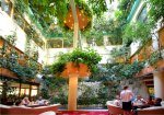 Kawiarnia Patio
