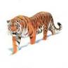 http://t2.gstatic.com/images?q=tbn:ANd9GcS5xI4nzc07MUb3-He6eTUiF2X96l8yLiSYlR_EcVZ12qSKOUnb