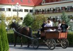 Przejazdzka bryczka