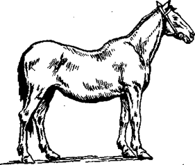 http://*****/distance/zif_03/razvedenie-110401/img/image058.gif