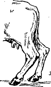 http://*****/distance/zif_03/razvedenie-110401/img/image035.gif