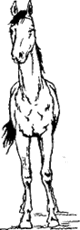 http://*****/distance/zif_03/razvedenie-110401/img/image056.gif