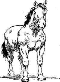 http://*****/distance/zif_03/razvedenie-110401/img/image054.gif