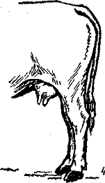 http://*****/distance/zif_03/razvedenie-110401/img/image036.gif