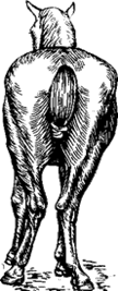 http://*****/distance/zif_03/razvedenie-110401/img/image048.gif