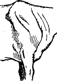 http://*****/distance/zif_03/razvedenie-110401/img/image025.gif