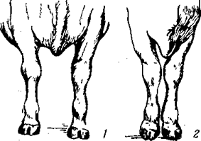 http://*****/distance/zif_03/razvedenie-110401/img/image028.gif