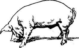 http://*****/distance/zif_03/razvedenie-110401/img/image040.gif