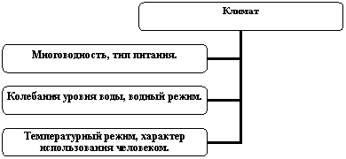 Организационная диаграмма