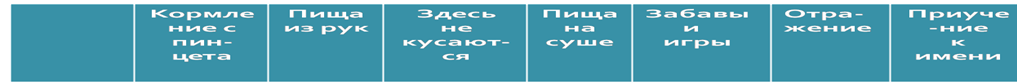 �������1.png