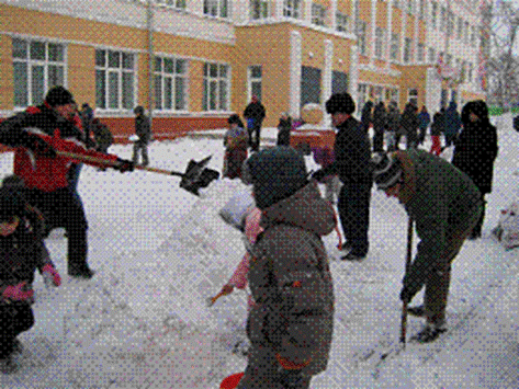 1.GIF