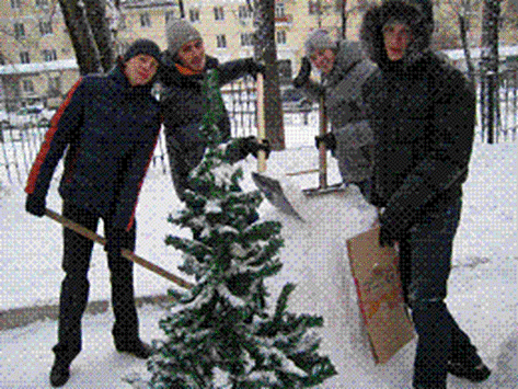 2.GIF